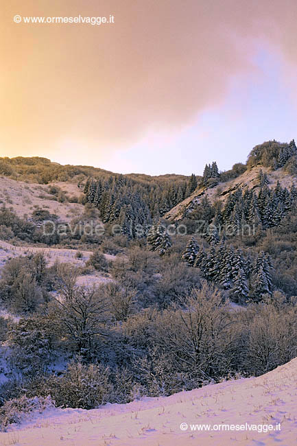 Passo del Cirone 2-11-01